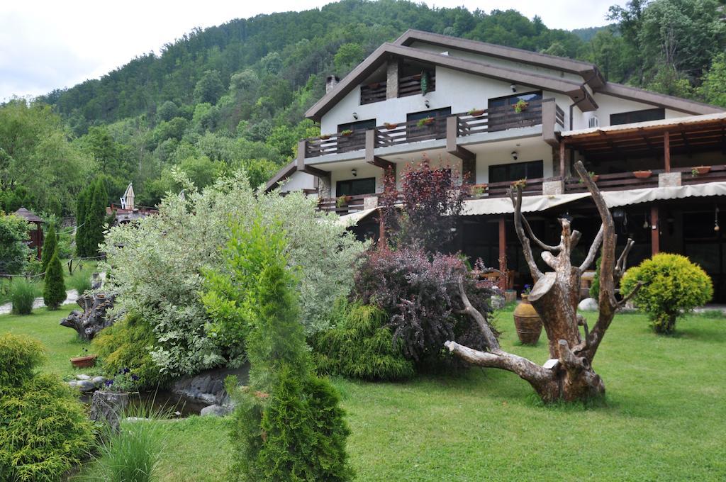 Pensiunea Valahia Brezoi Exterior photo